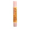 3029_burt-s-bees-lip-shimmer-champagne-09-ounce-tubes-pack-of-4.jpg