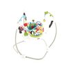 3696_fisher-price-discover-n-grow-jumperoo.jpg