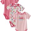 3976_gerber-baby-girls-newborn-3-pack-hugs-bodysuit.jpg