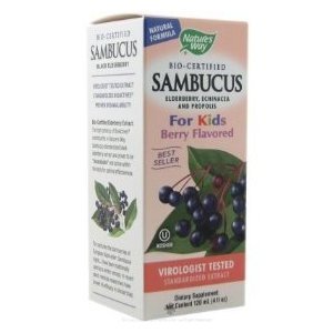 4289_nature-s-way-sambucus-for-kids.jpg