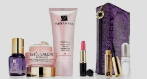 4795_estee-lauder-2012-fall-collection-7-pcs-skin-care-and-makeup-gift-set.jpg