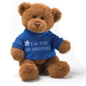 5244_gund-i-m-the-big-brother-message-12-bear-plush.jpg