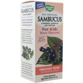 5889_nature-s-way-sambucus-for-kids-berry-flavored-8-ouncenature-s-way-sambucus-for-kids.jpg