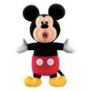 6055_mattel-the-sing-a-ma-jigs-mickey-mouse.jpg