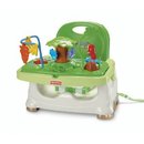 627_fisher-price-rainforest-healthy-care-booster-seat.jpg