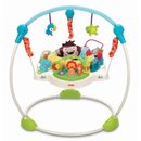 6328_fisher-price-precious-planet-blue-sky-jumperoo.jpg