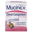 6509_mucinex-children-s-jr-str-mini-melts-bubble-gum-12-count-pack-of-2.jpg