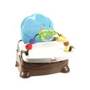 6636_fisher-price-luv-u-zoo-busy-baby-booster.jpg