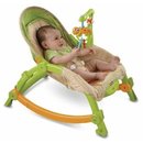 7115_fisher-price-newborn-to-toddler-portable-rocker.jpg