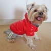 7965_alfie-couture-designer-pet-apparel-joysie-hooded-jacket-with-detachable-pants-color-red-size-s.jpg