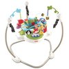 8169_fisher-price-discover-n-grow-jumperoo.jpg