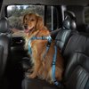 8280_cruising-companion-car-harness.jpg