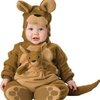 8389_lil-characters-unisex-baby-newborn-roo-costume.jpg