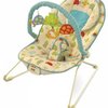 8887_fisher-price-comfy-time-bouncer.jpg