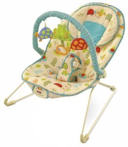 8887_fisher-price-comfy-time-bouncer.jpg