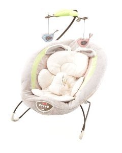 8914_fisher-price-my-little-snugabunny-bouncer.jpg