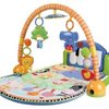 9095_fisher-price-discover-n-grow-kick-and-play-piano-gym.jpg