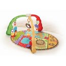 915_fisher-price-luv-u-zoo-musical-mirror-activity-gym.jpg