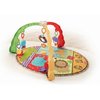 915_fisher-price-luv-u-zoo-musical-mirror-activity-gym.jpg