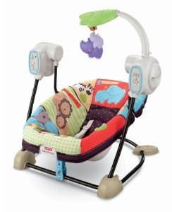 9325_fisher-price-space-saver-swing-and-seat.jpg