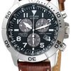 9630_citizen-men-s-bl5250-02l-eco-drive-perpetual-calendar-chronograph-watch.jpg